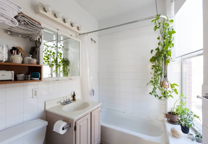 Bathroom Ideas On A Budget Before After Apartment Therapy